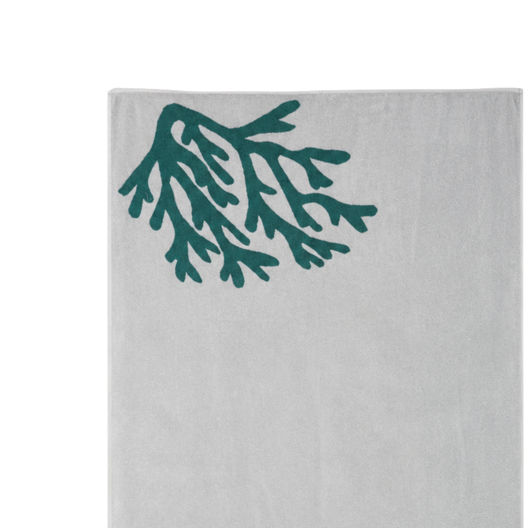 TM Home Luxury  Hotel Towels 100*200 – 100% Egyptian Cotton – Soft, Absorbent, and Durable (Copy) (Copy) (Copy) (Copy)